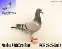 POR 22-2242062